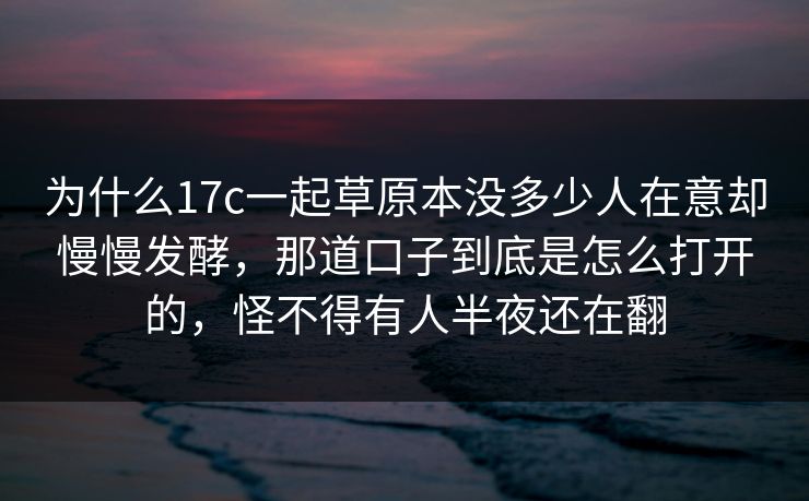 为什么17c一起草原本没多少人在意却慢慢发酵，那道口子到底是怎么打开的，怪不得有人半夜还在翻