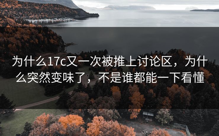 为什么17c又一次被推上讨论区，为什么突然变味了，不是谁都能一下看懂