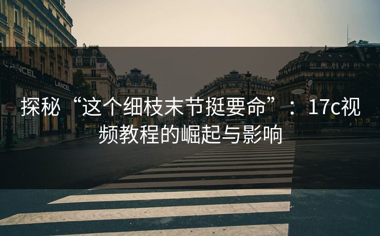 探秘“这个细枝末节挺要命”：17c视频教程的崛起与影响