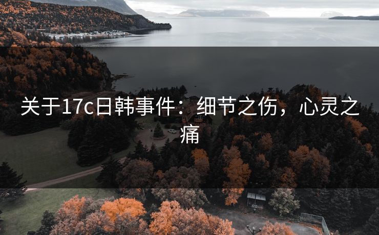 关于17c日韩事件:细节之伤,心灵之痛 关于17c日韩事件:细节之伤,心灵之痛