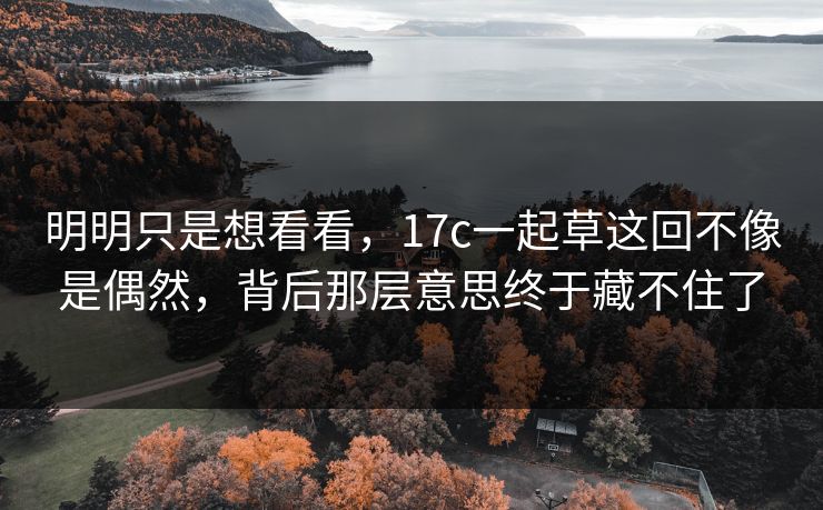 明明只是想看看，17c一起草这回不像是偶然，背后那层意思终于藏不住了