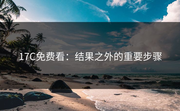 17C免费看：结果之外的重要步骤