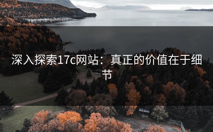 深入探索17c网站：真正的价值在于细节