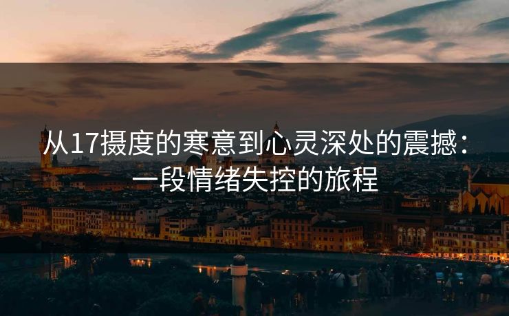 从17摄度的寒意到心灵深处的震撼：一段情绪失控的旅程