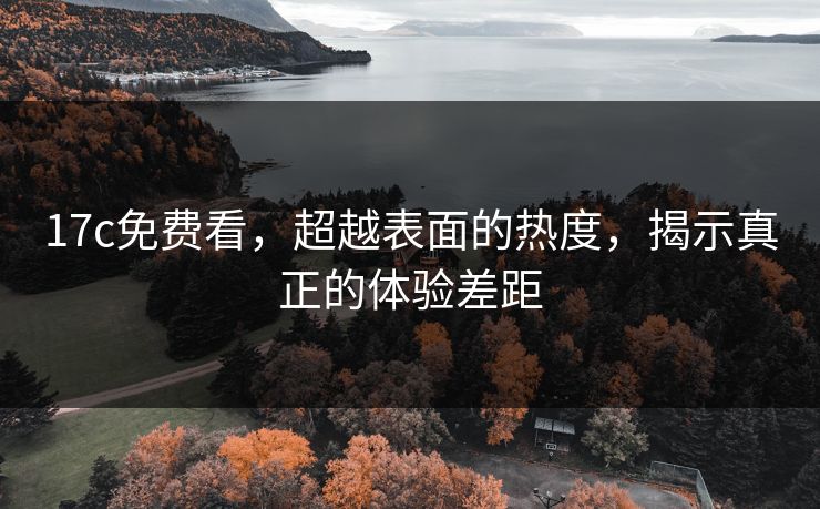 17c免费看，超越表面的热度，揭示真正的体验差距