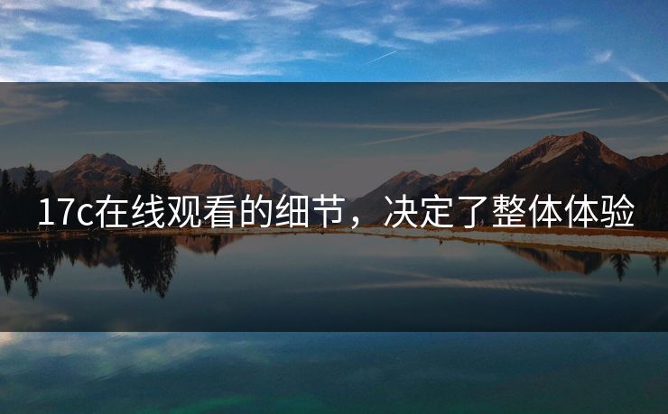 17c在线观看的细节，决定了整体体验