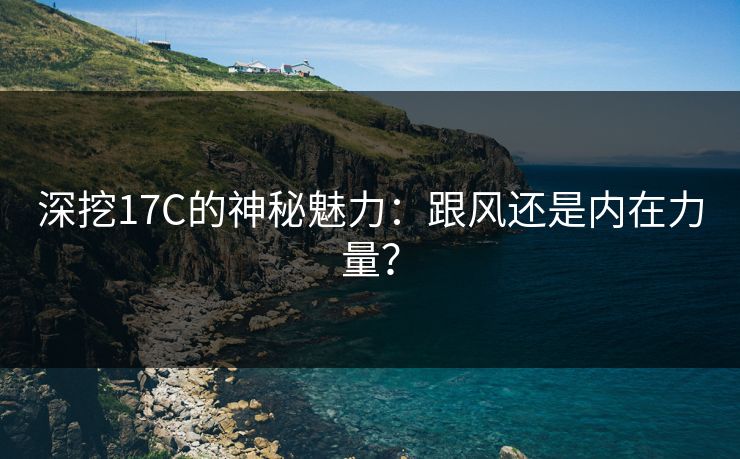 深挖17C的神秘魅力：跟风还是内在力量？